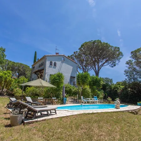 Regina 500 Metres De La Roquebrune-sur-Argens